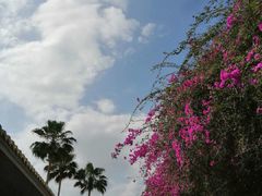 -三亚南山文化旅游区