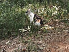 -重庆市奥林匹克体育中心-游泳跳水馆