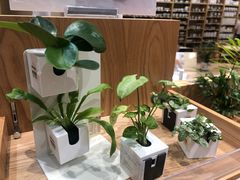 -MUJI无印良品(环球港店)