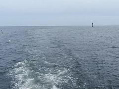 -秦皇岛公主号游船