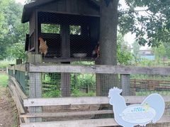 -田园东方蜜桃村的田野营地
