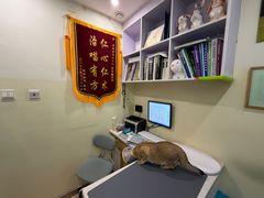 -美迦爱-牙专科·兔科·骨科诊疗中心(北苑店)