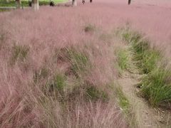 -汉长安城未央宫国家考古遗址公园