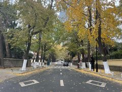 -八大关景区