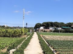 -米岗农庄