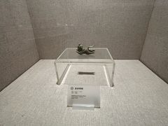 -南越王博物院(王宫展区)