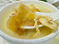 -凤城礼记鱼翅海鲜酒家(新马路总店)