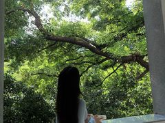 -湖北美术学院(昙华林校区)