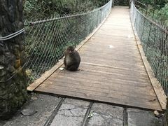 -西岭雪山大飞水景区