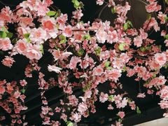-黄家码头老火锅(解放碑旗舰店)
