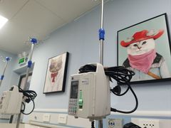 -纳吉亚猫专科动物诊疗中心(蒋宅口分院)