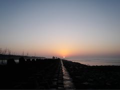 -上海崇明金茂凯悦酒店