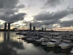 -黄金海岸