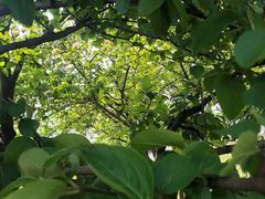 -白塘生态植物园