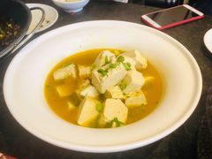 双椒炖豆腐-东华天喜楼(涧西店)