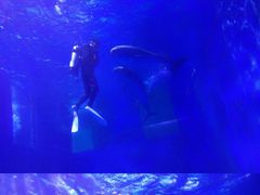 -多彩贵州城极地海洋世界