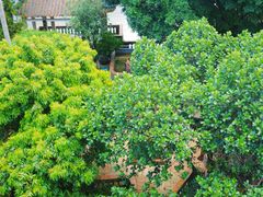 -东莞市可园博物馆