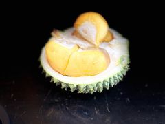 -三叔公