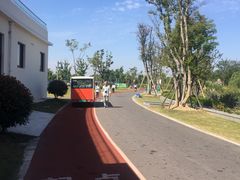 -上海长兴岛郊野公园