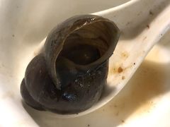 -食爺炭炉鸡煲·烧烤