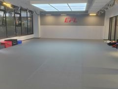 -EFL巴西柔术·综合格斗·泰拳·少儿体能训练(虹桥德必馆)