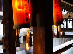 -普洱茶府(博乐广场店)