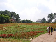 -保利石象湖景区