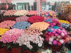 -越秀西湖花市(广州城市广场花卉店)