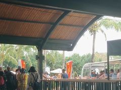 -亚龙湾国际玫瑰谷