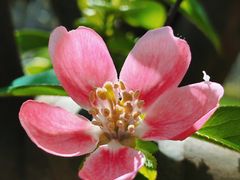 -渤公岛生态公园