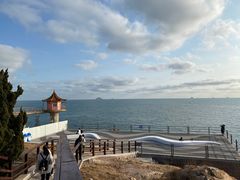 -小麦岛公园