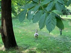 -泰安地下龙宫景区