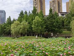 -沐仙湖湿地公园