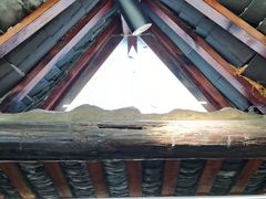 -土桥手掌鸡·26年灌县老味道(都江堰店)