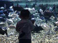 -成都浩海立方海洋公园