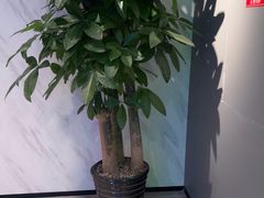 -W·24H茶楼·棋牌·掼蛋(望京店)
