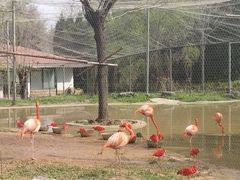 -石家庄市动物园