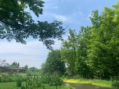 -桤木河湿地公园