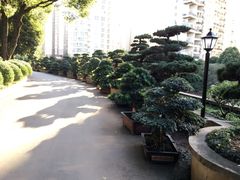 -华雅花园大酒店