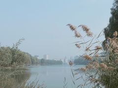 -河北省园博园