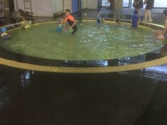 -BK博·康健身(金地格林小镇店)