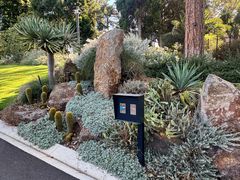 -墨尔本皇家植物园