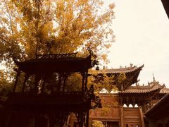 -张掖大佛寺景区