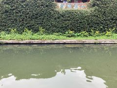 -宁波市保国寺古建筑博物馆