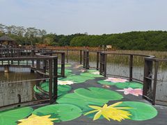 -大湾区中央湿地公园