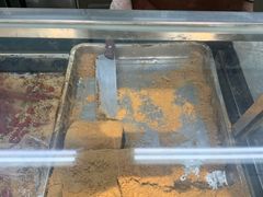 -清真·白记年糕(牛街北口店)