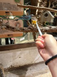-造物庄园 萌宠纪(苏州湾歌林公园店)