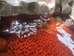 -北京乐多港万豪酒店汤乐宫温泉