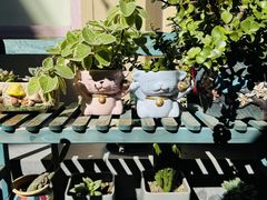 -后海16号·北京私房菜