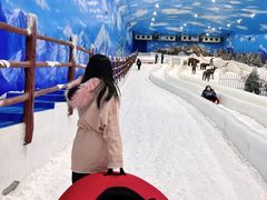 -世界之窗阿尔卑斯冰雪世界